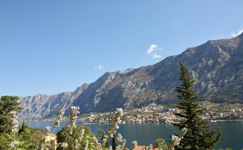 Villa Mima Kotor Exterior foto
